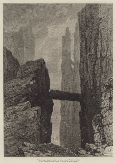 Le Chemin de l